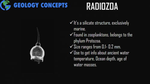 Radiozoa